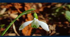 Desktop Screenshot of neagulucian.info