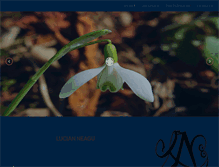 Tablet Screenshot of neagulucian.info